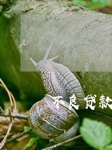 不良贷款 逾期不足90天 不良贷款 逾期不足90天